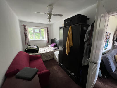 Picture 14